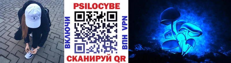 Галлюциногенные грибы Psilocybine cubensis  Купить где  Хотьково 