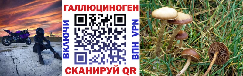 Псилоцибиновые грибы GOLDEN TEACHER Хотьково